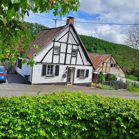 Landhaus Eifel Demerath Dış mekan fotoğraf