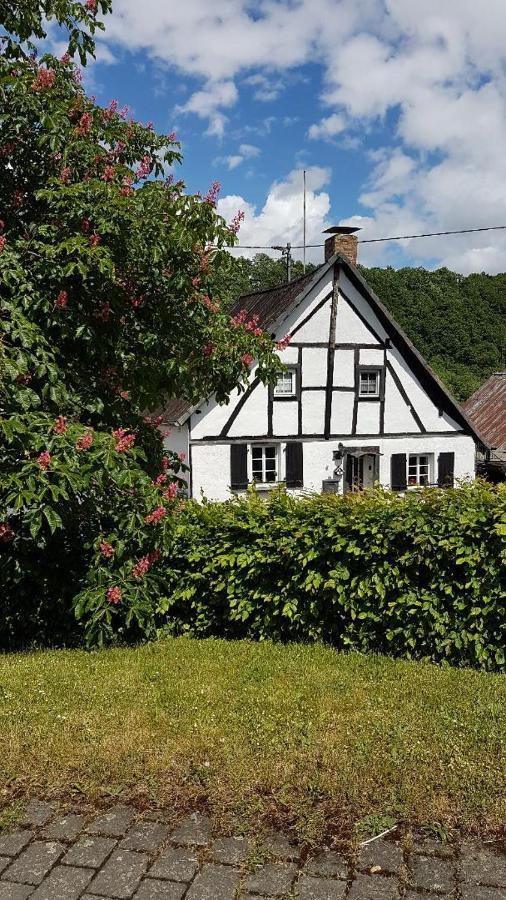Landhaus Eifel Demerath Dış mekan fotoğraf