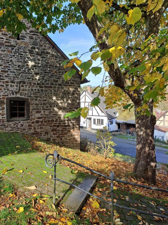 Landhaus Eifel Demerath Dış mekan fotoğraf