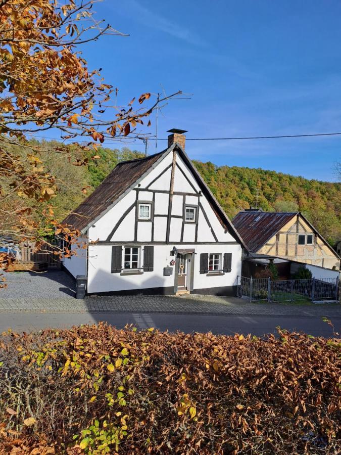 Landhaus Eifel Demerath Dış mekan fotoğraf