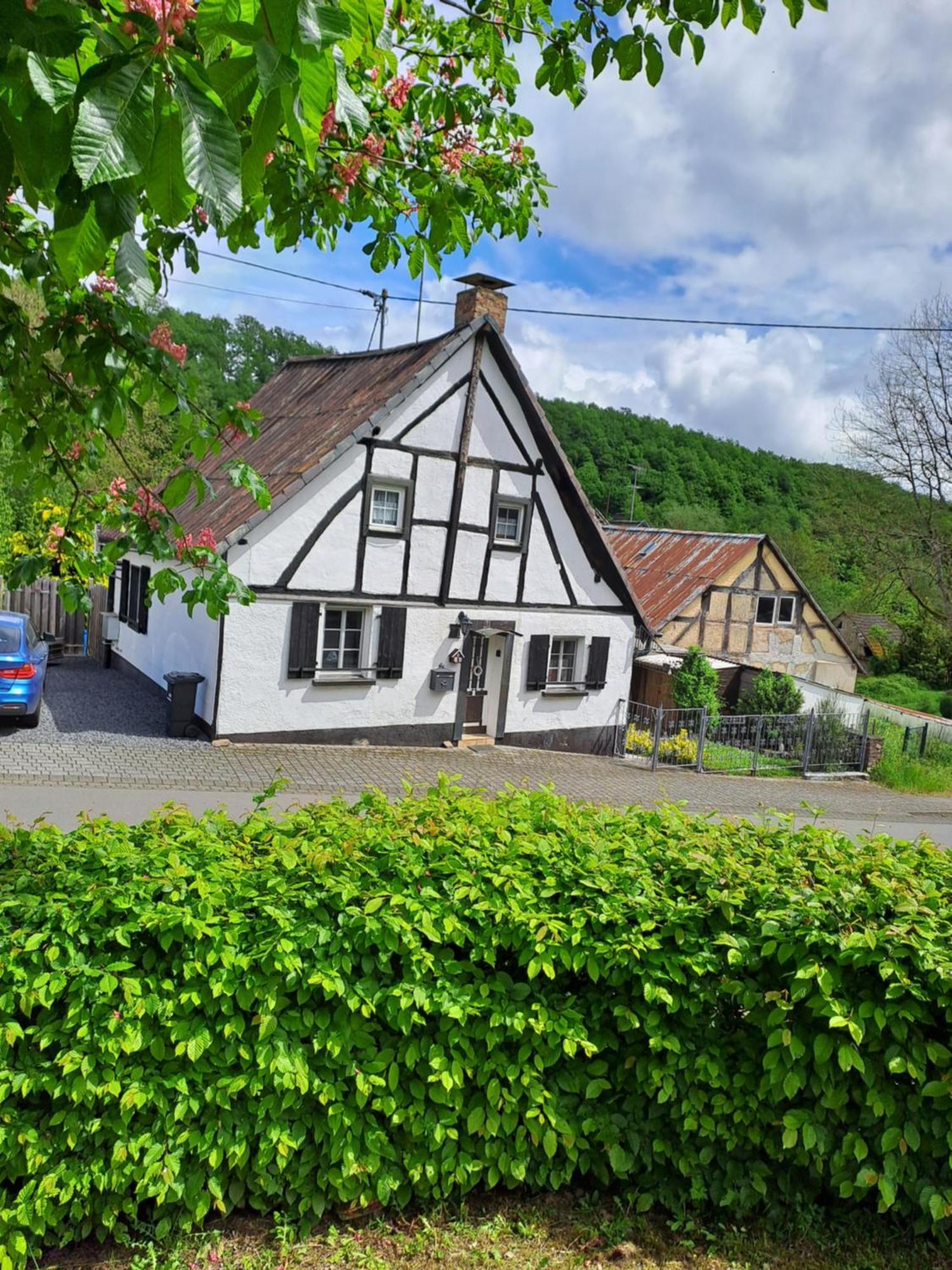 Landhaus Eifel Demerath Dış mekan fotoğraf